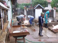 /album/priprava-setkani/a100-9689-jpg/